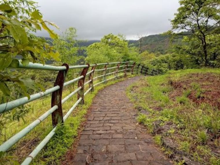 Dugarwadi Waterfalls-5